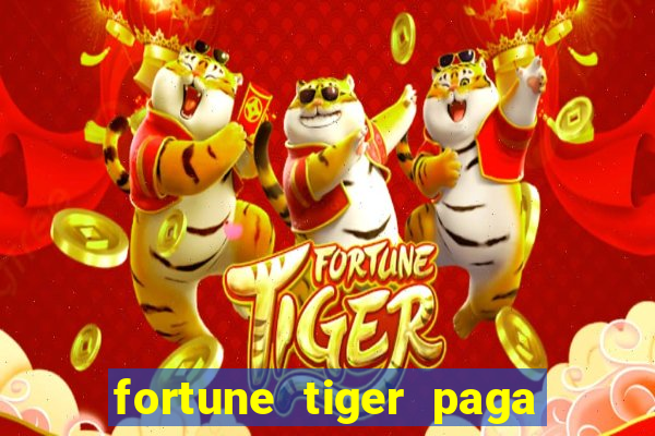 fortune tiger paga de madrugada